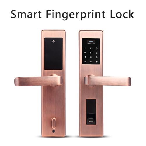  Bronze fingerprint lock S001